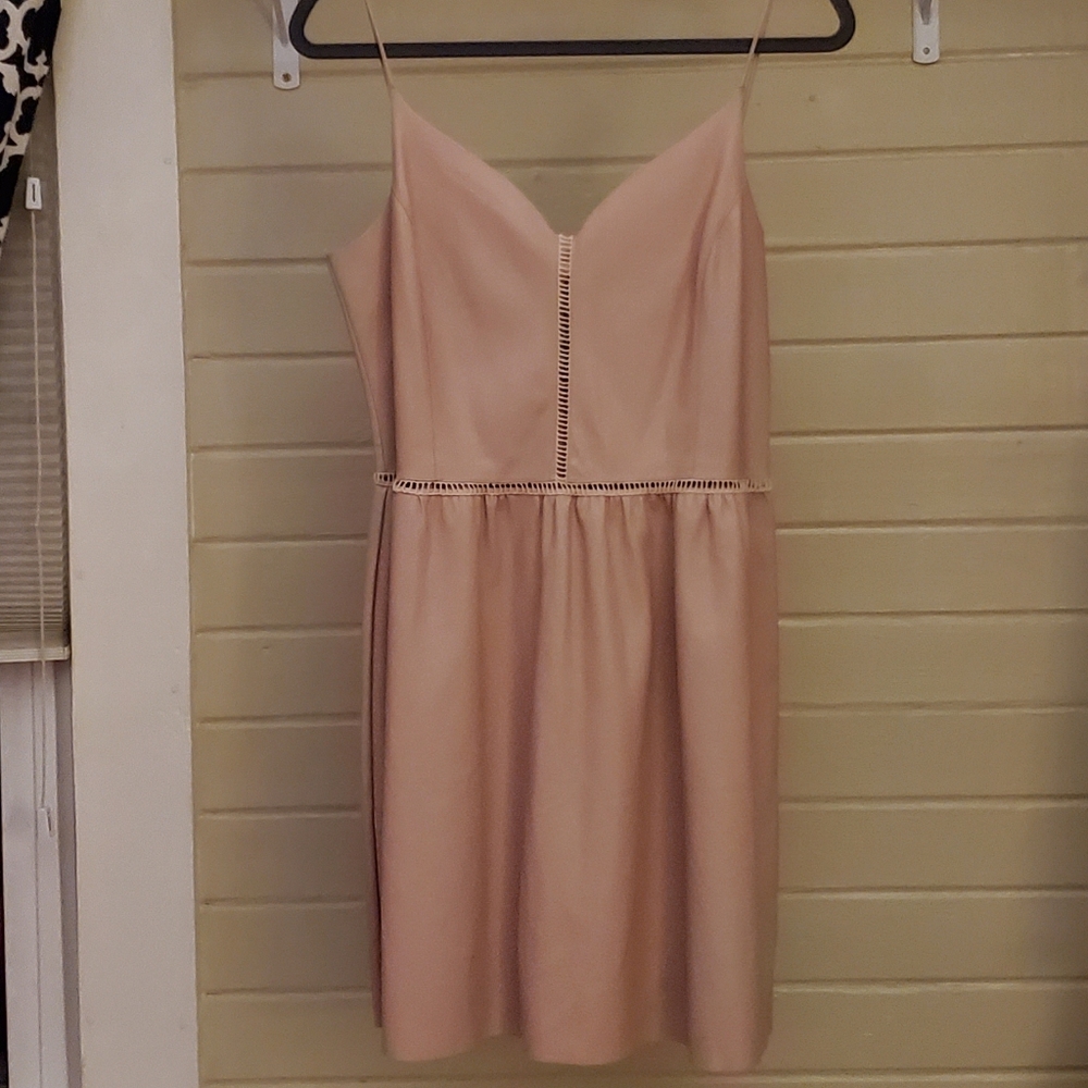 Blush Pink Zara A-line dress